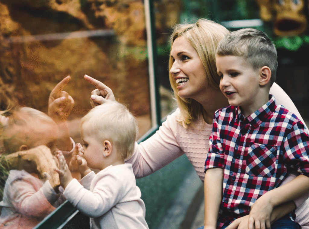 fun things to do in columbus ohio